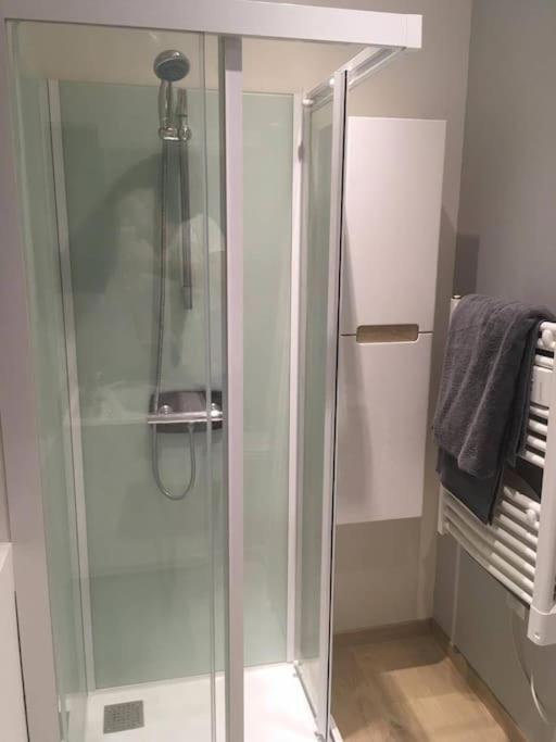 Appartement Touristique, Proche De La Cathedrale Алби Екстериор снимка